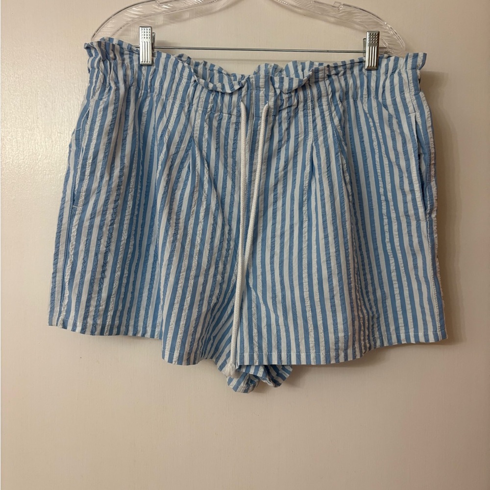 Wild Fable Sky Blue and White Striped Shorts
